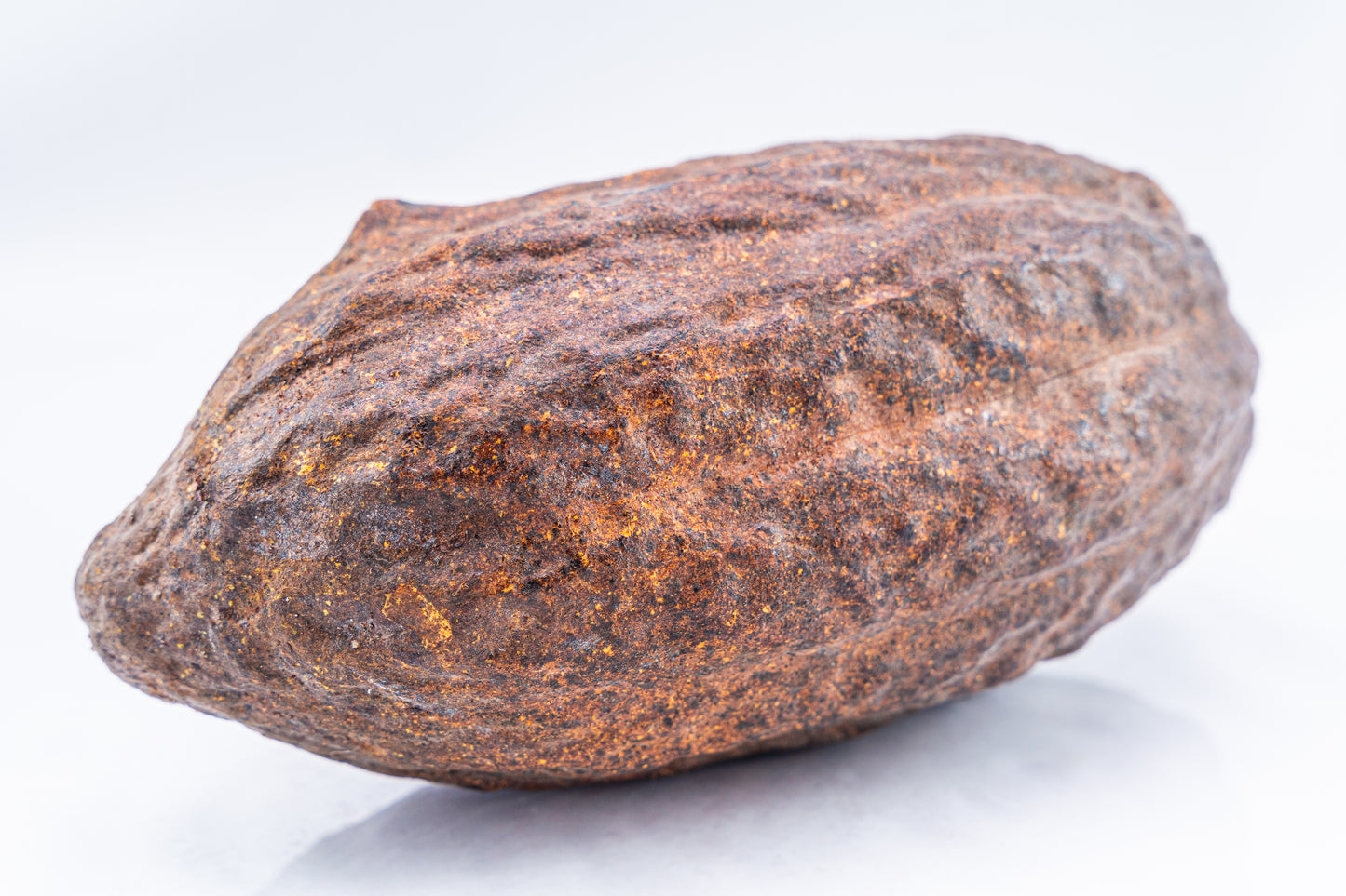 Caramelized Cocoa Beans (100 gr)