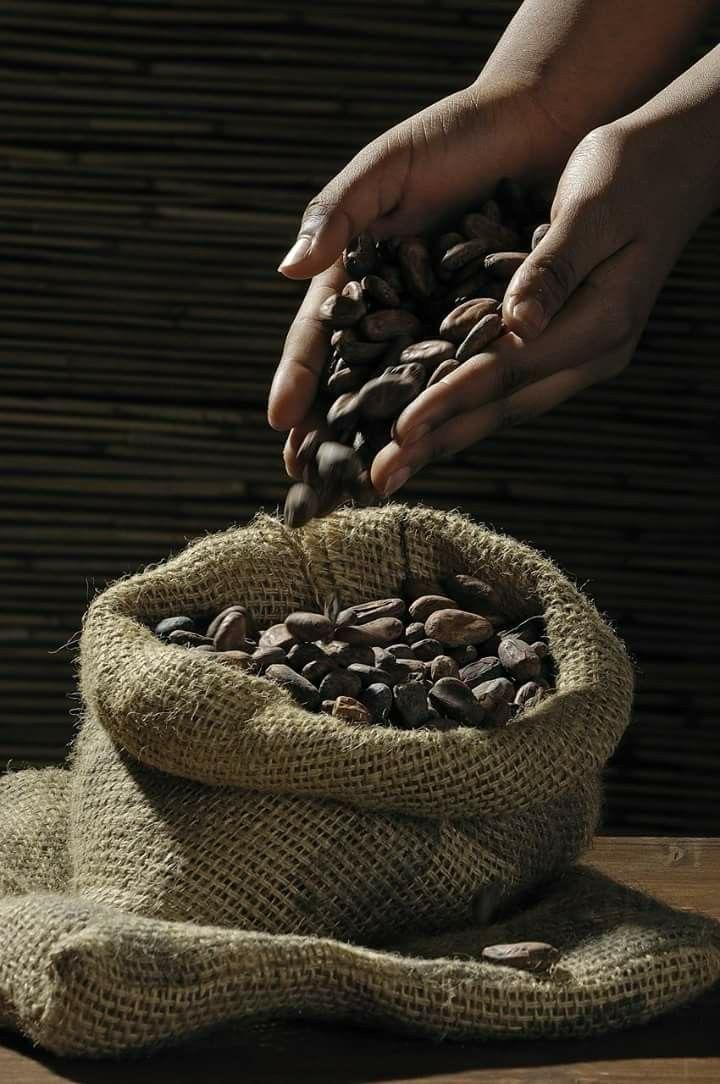 Caramelized Cocoa Beans (100 gr)