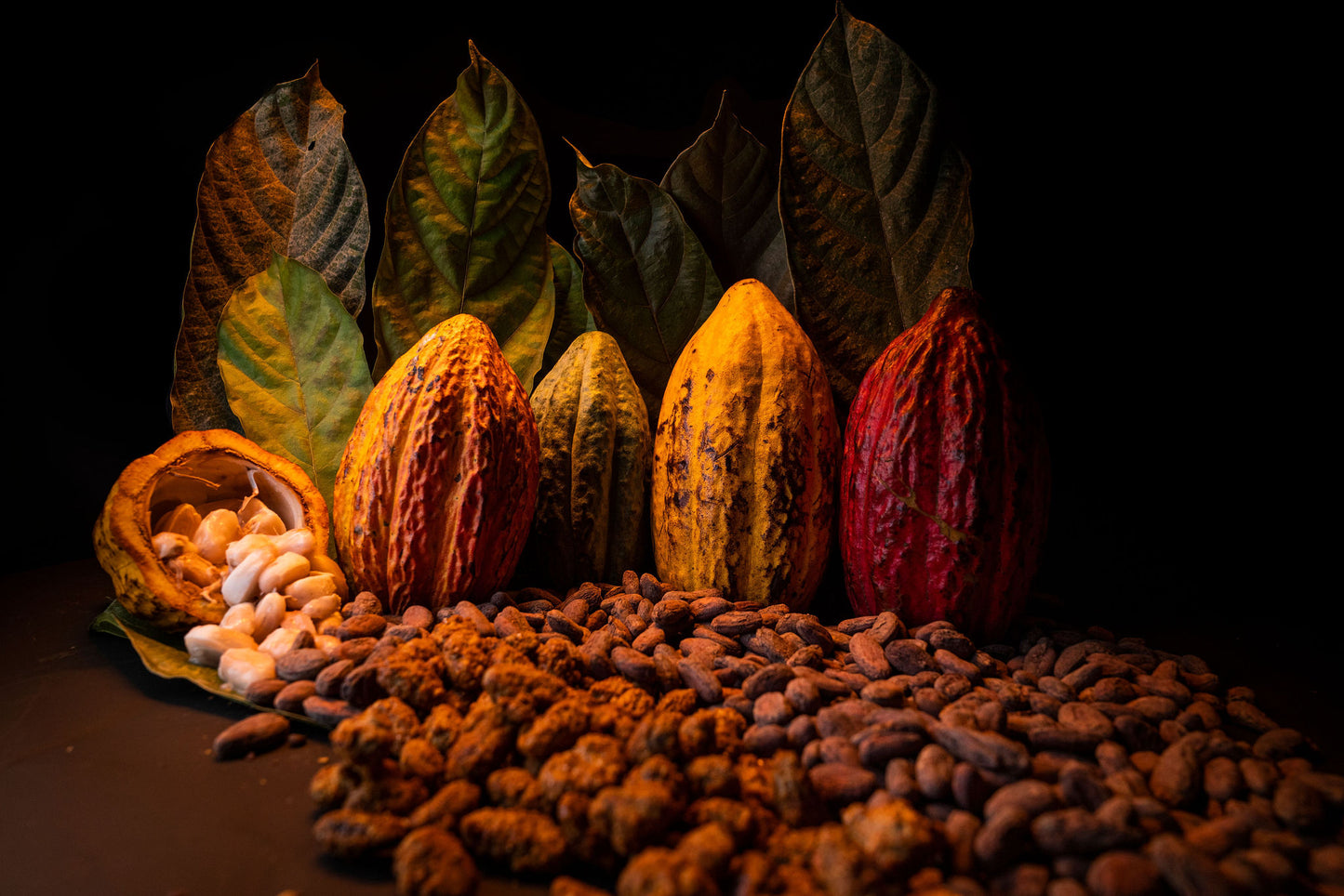Caramelized Cocoa Beans (100 gr)