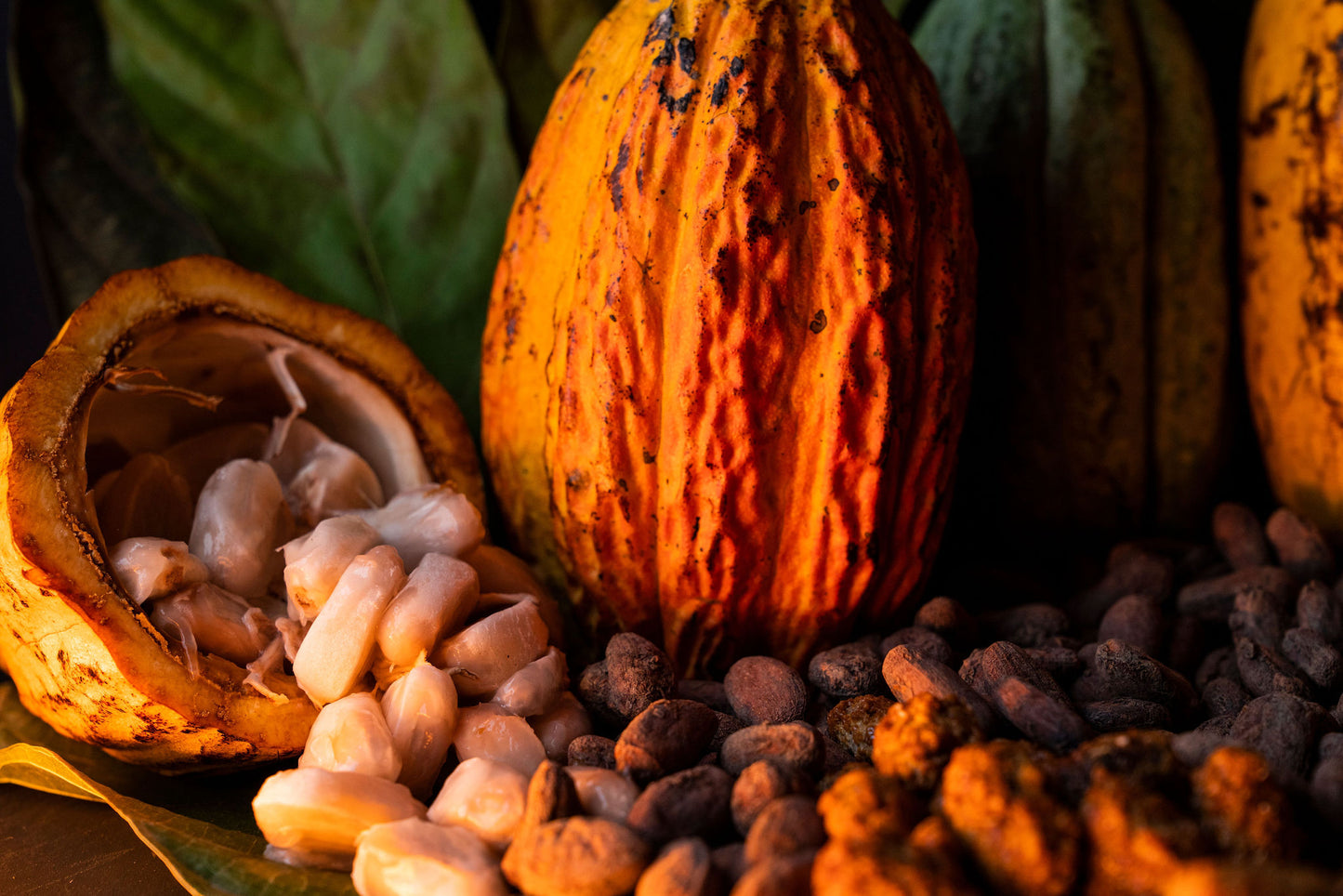 Caramelized Cocoa Beans (100 gr)