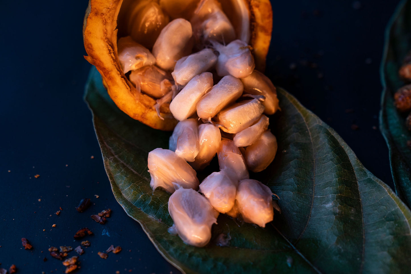 Caramelized Cocoa Beans (100 gr)