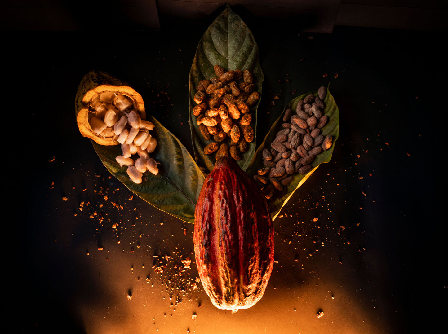 Caramelized Cocoa Beans (100 gr)